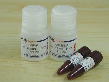 Caspase 9 活性检测试剂盒